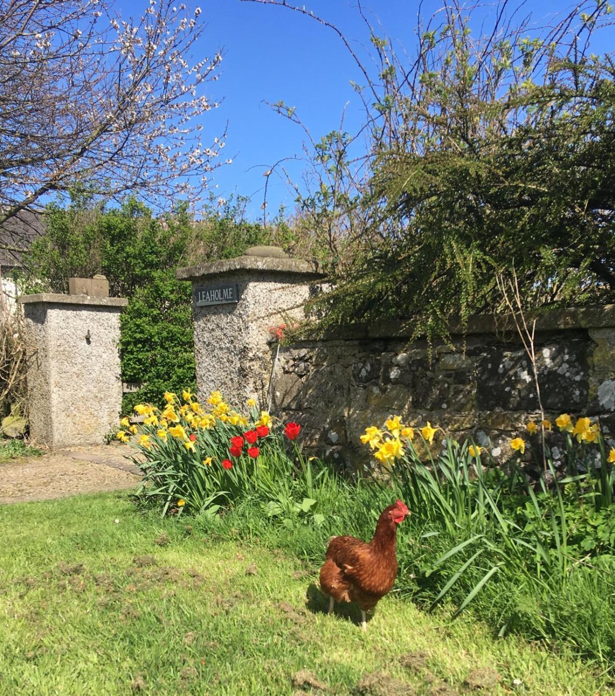 Leaholme Cottage - Fabulous Coastal Cottage For 8 Newton by the Sea Εξωτερικό φωτογραφία